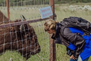 09.07.19 Alaska Wildlife Conservation Centre-100