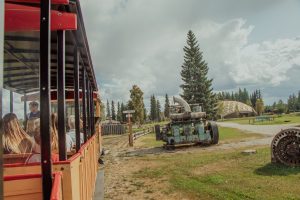 29.07.19 Pioneer Park Lunch and Train-14
